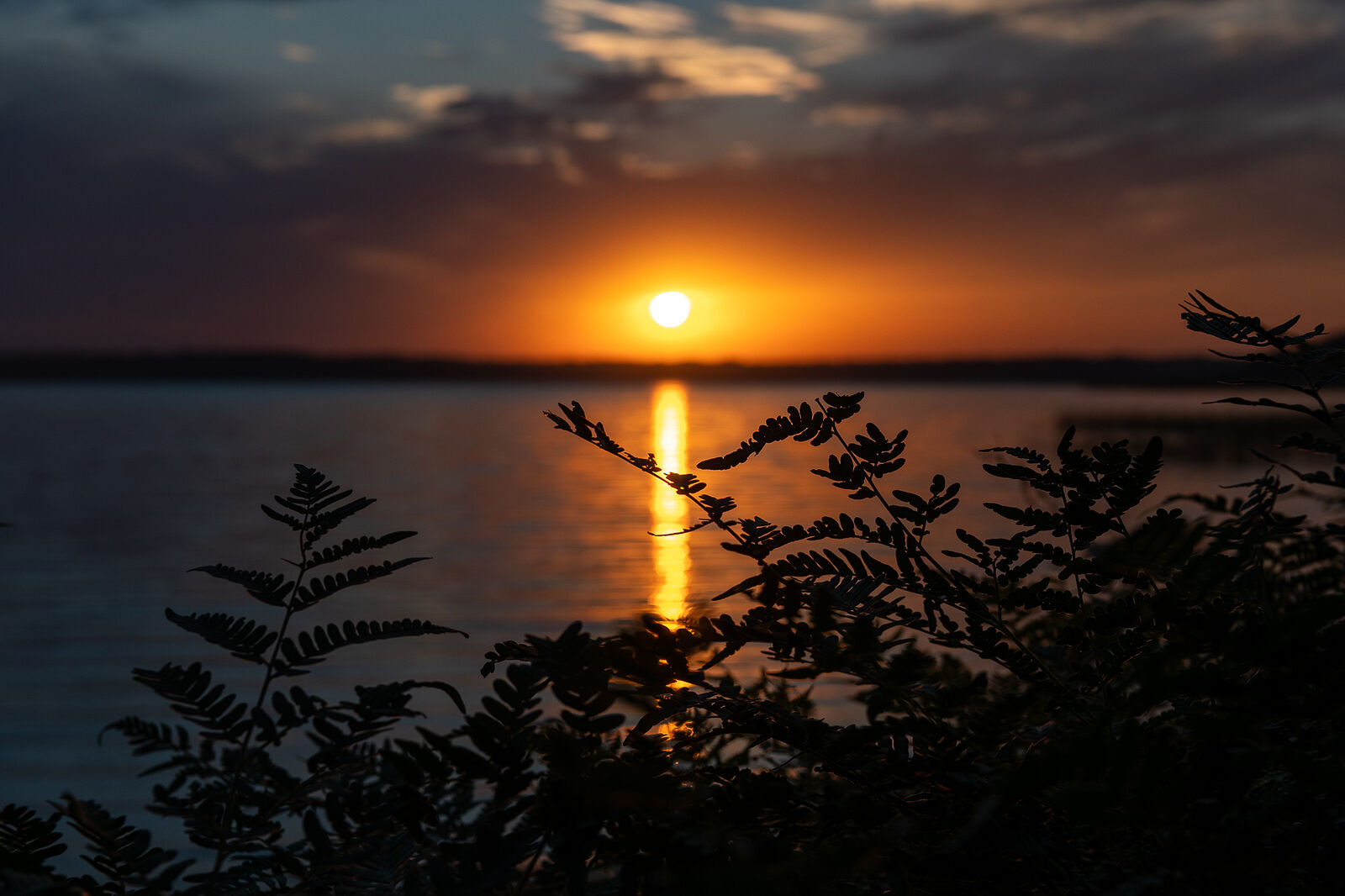 PHOTOMATIKA. Селигер. Вид из д. Кривая клетка