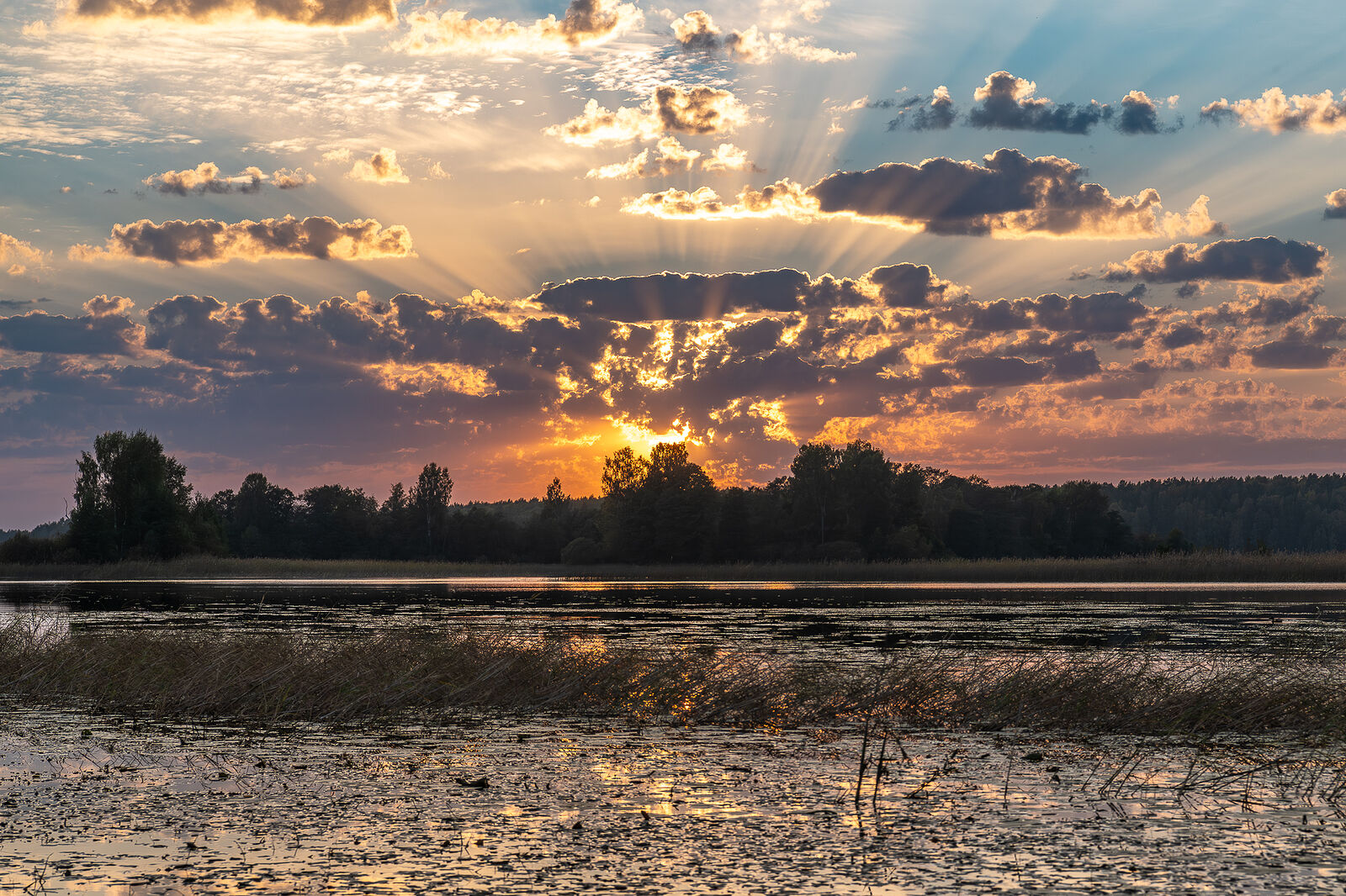 PHOTOMATIKA. Селигер. Поблизости от д. Городец