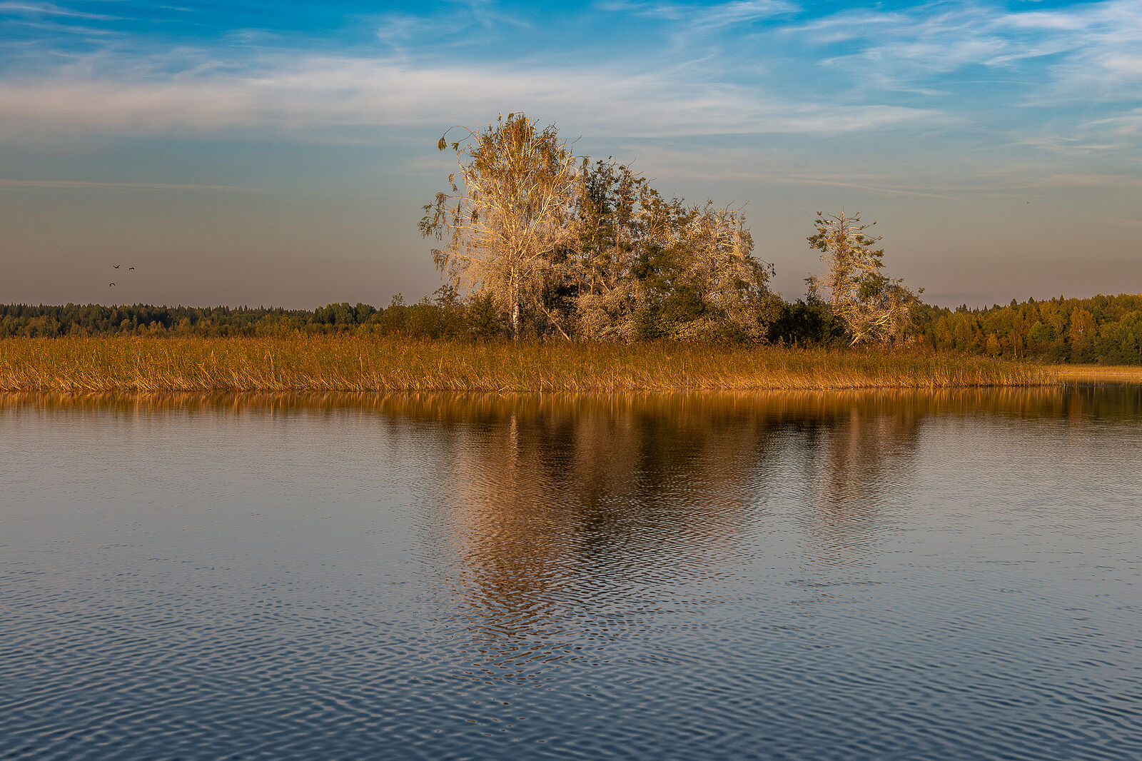 PHOTOMATIKA. Селигер. Остров у д. Новый Скребель