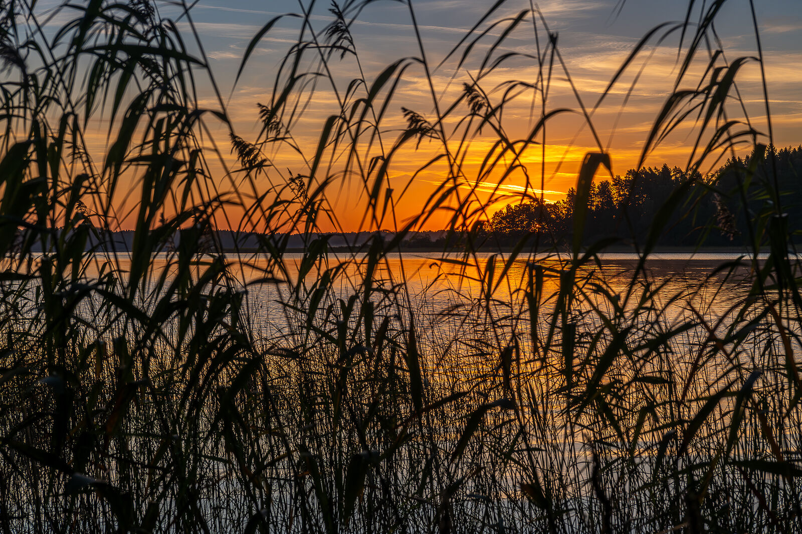 PHOTOMATIKA. Селигер. Недалеко от Высокой Горы