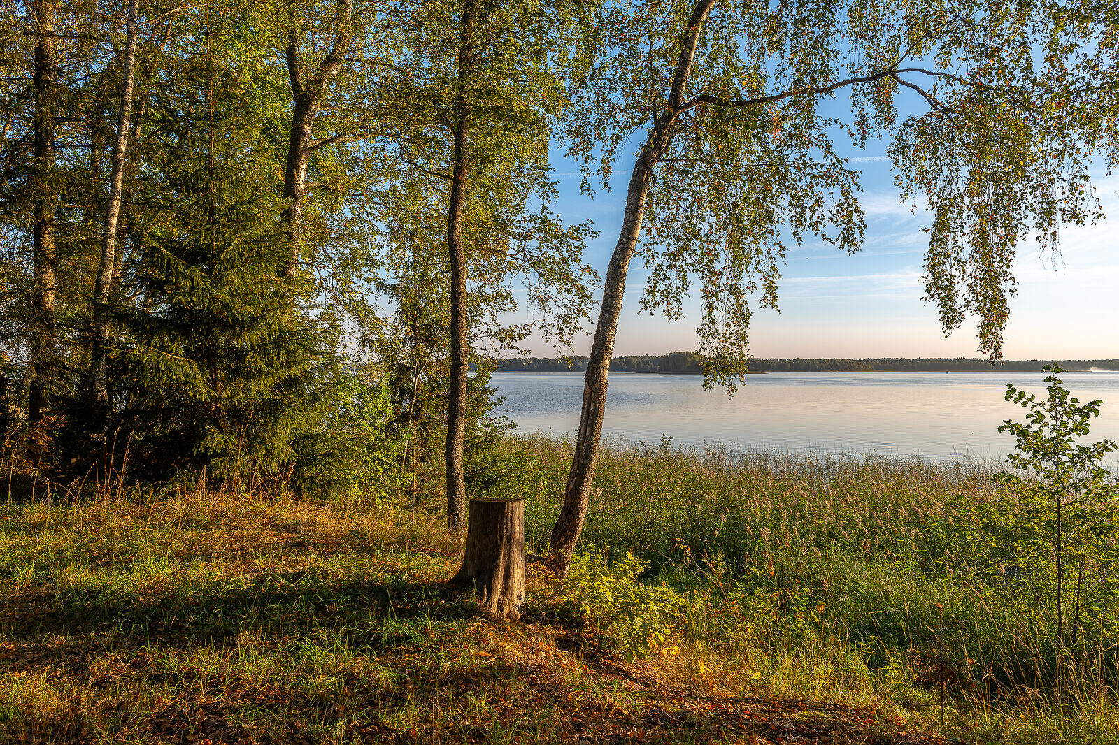 PHOTOMATIKA. Селигер. Берег у туристического лагеря
