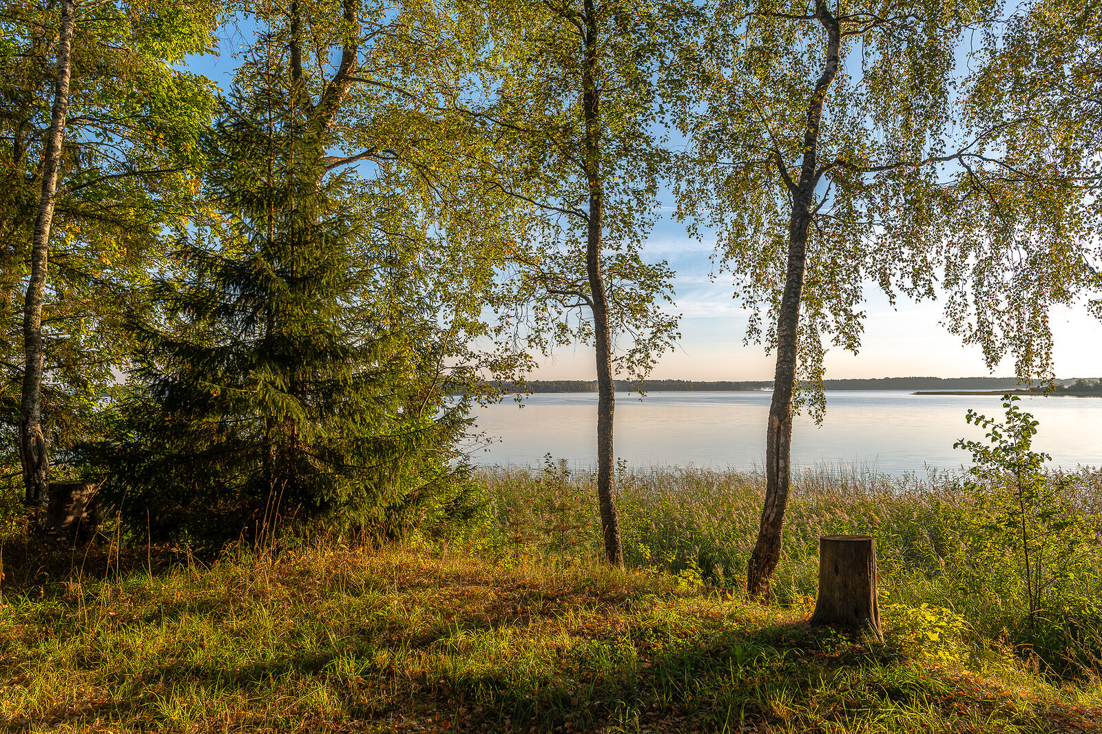 PHOTOMATIKA. Селигер. Берег у туристического лагеря