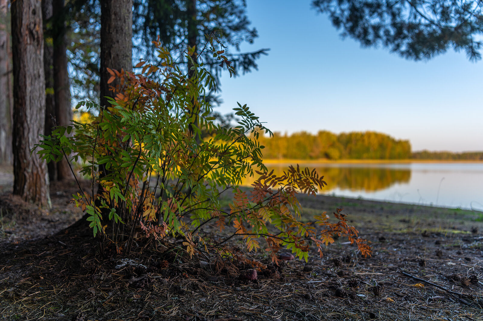 PHOTOMATIKA. Селигер. Берег у туристического лагеря
