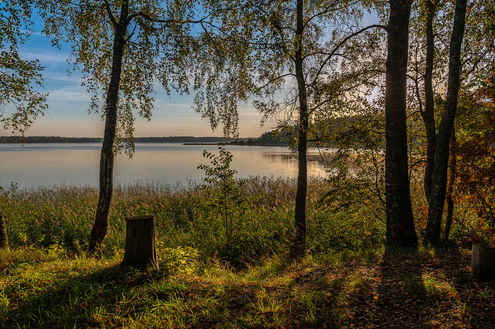 PHOTOMATIKA. Селигер. Берег у туристического лагеря