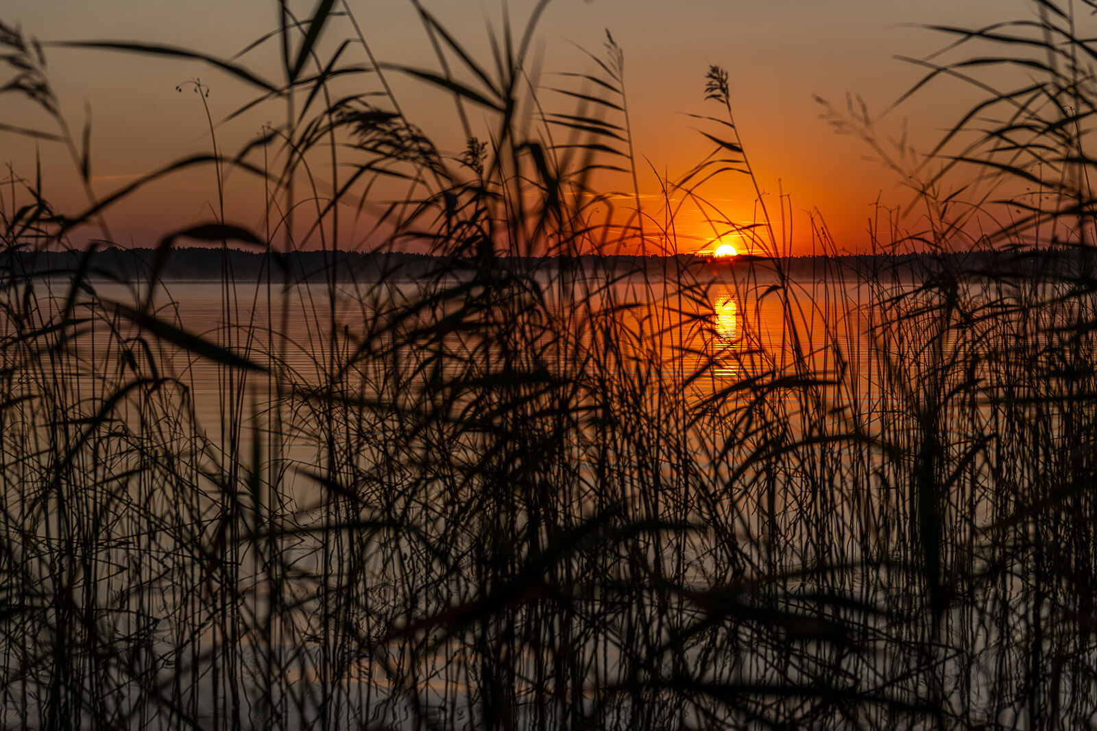 PHOTOMATIKA. Селигер. Недалеко от Высокой Горы