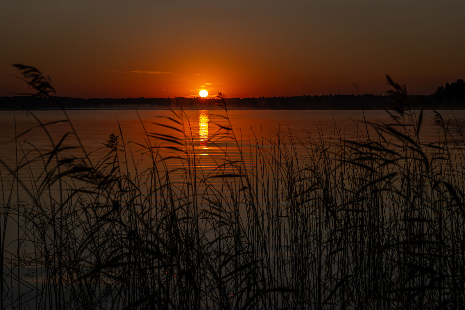 PHOTOMATIKA. Селигер. Недалеко от Высокой Горы