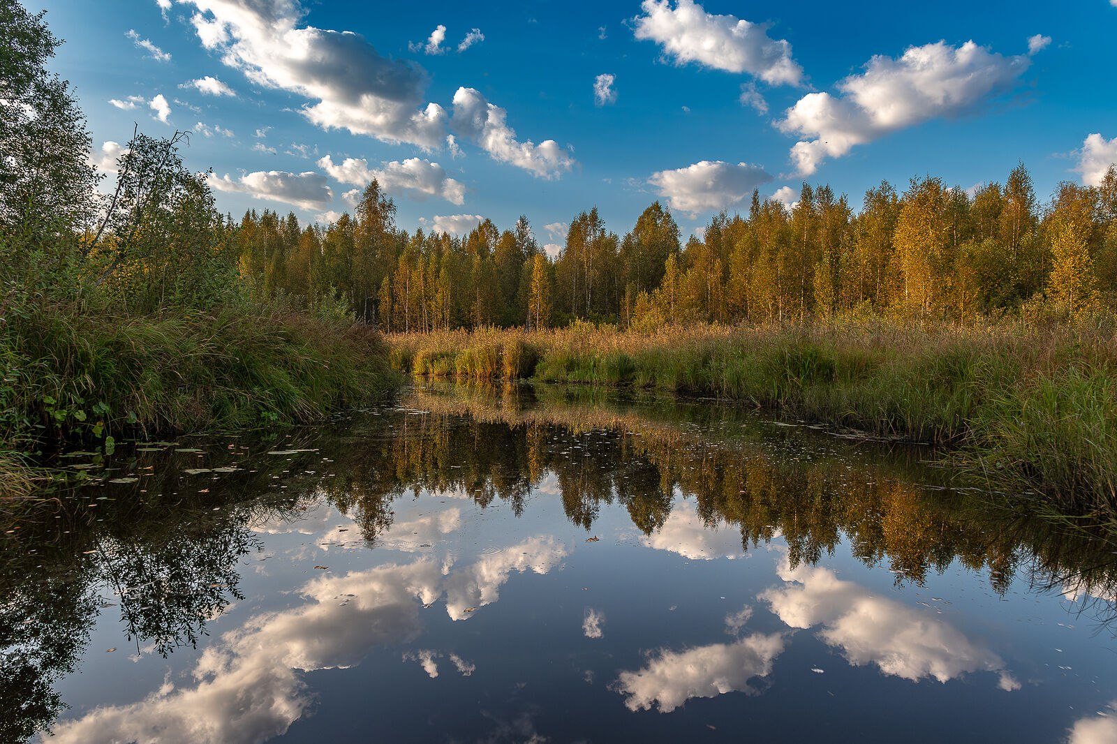 PHOTOMATIKA. Селигер. Речка Черная