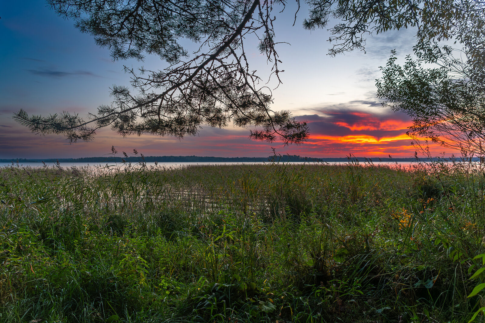 PHOTOMATIKA. Селигер. д. Высокая гора