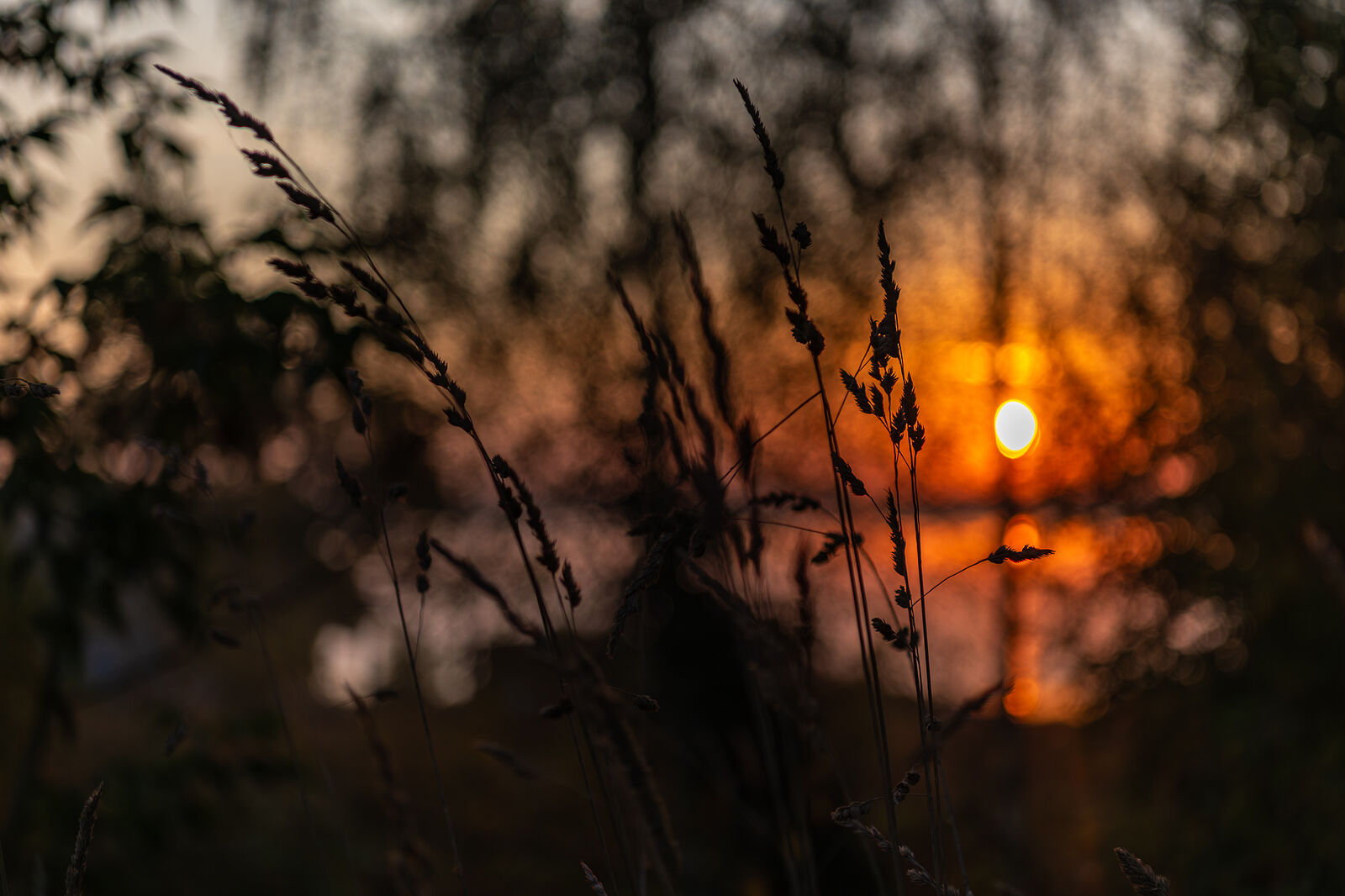 PHOTOMATIKA. Селигер. Абстрактная зарисовка