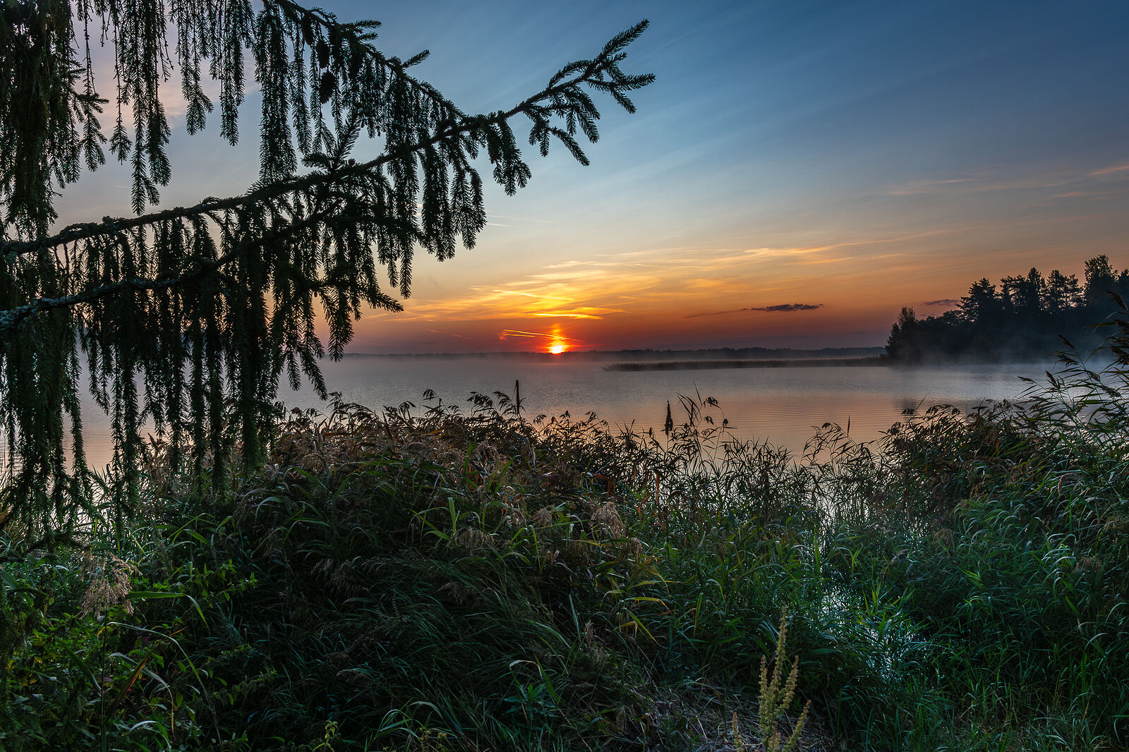PHOTOMATIKA. Селигер. Вид из д. Кривая клетка