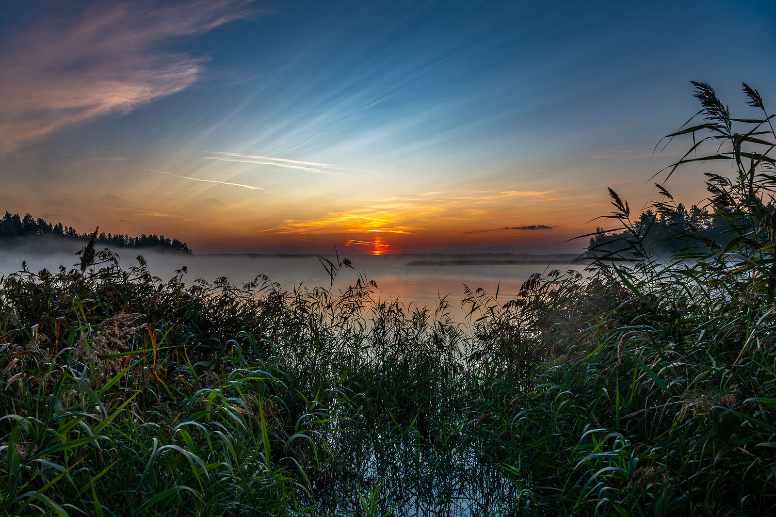 PHOTOMATIKA. Селигер. Вид из д. Кривая клетка