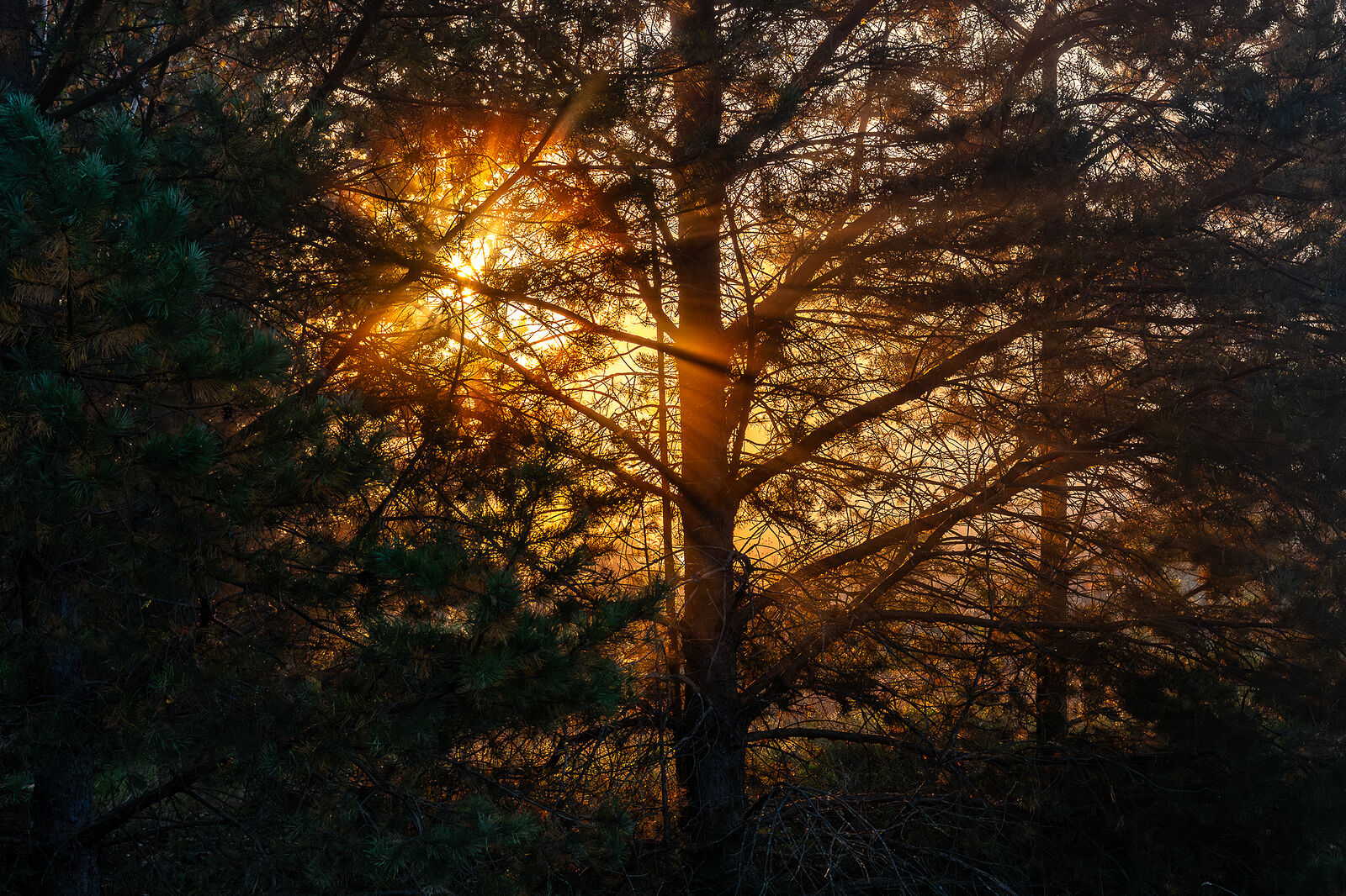 PHOTOMATIKA. Селигер. Абстрактная зарисовка