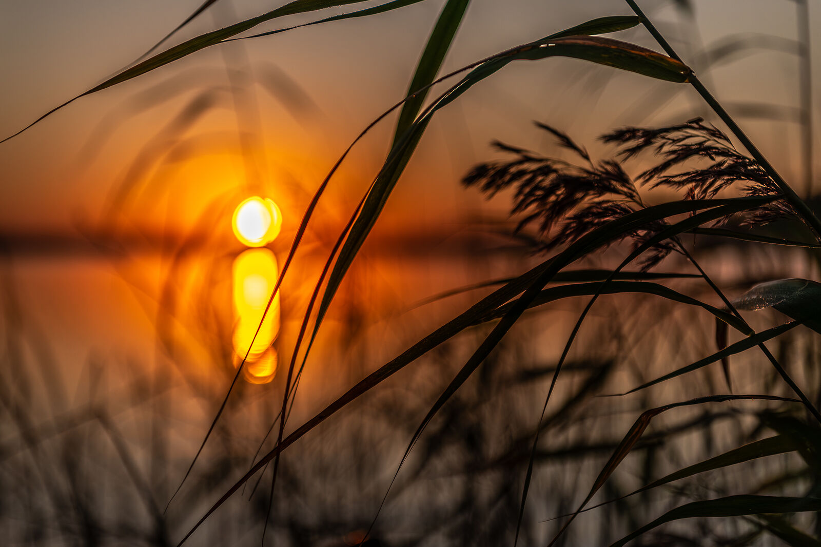 PHOTOMATIKA. Селигер. Абстрактная зарисовка