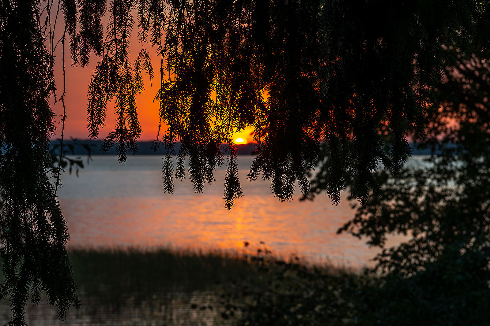 PHOTOMATIKA. Селигер. д. Высокая Гора