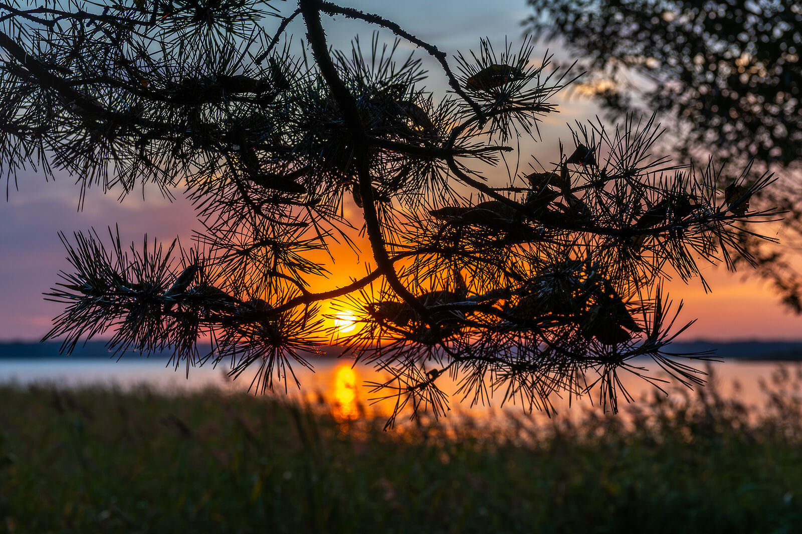 PHOTOMATIKA. Селигер. д. Высокая Гора